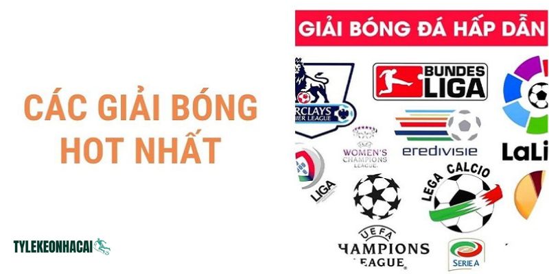 Tại kanejin.tv luôn cập nhật đầy đủ lịch mọi giải đấu bóng